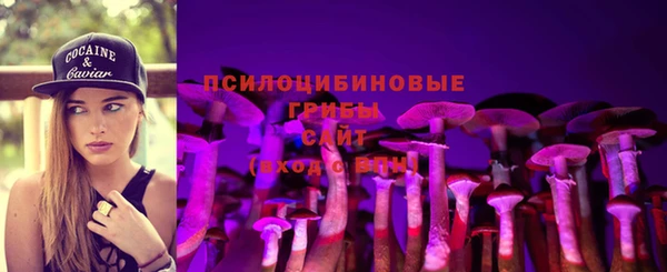 ГАЛЛЮЦИНОГЕННЫЕ ГРИБЫ Бугульма