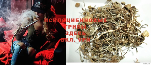 ГАЛЛЮЦИНОГЕННЫЕ ГРИБЫ Бугульма
