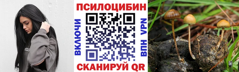 Купить  Вяземский  Галлюциногенные грибы мухоморы 